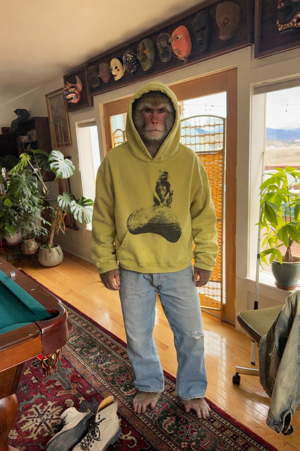 Monk Hood