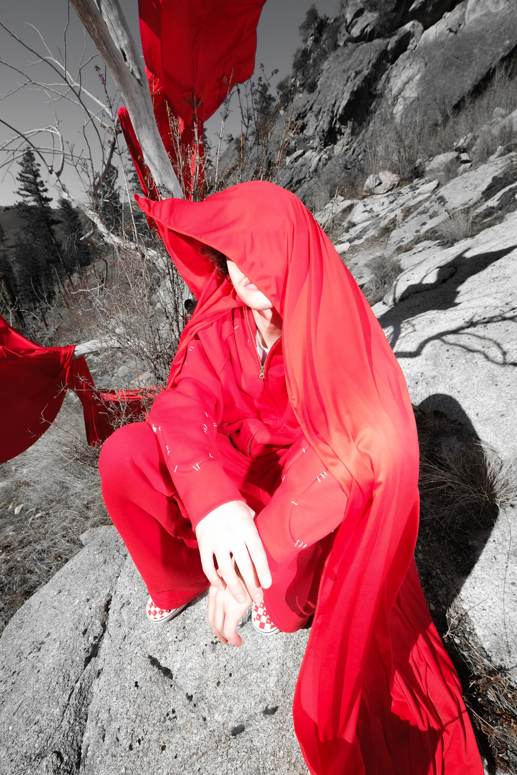 Rojo Hood