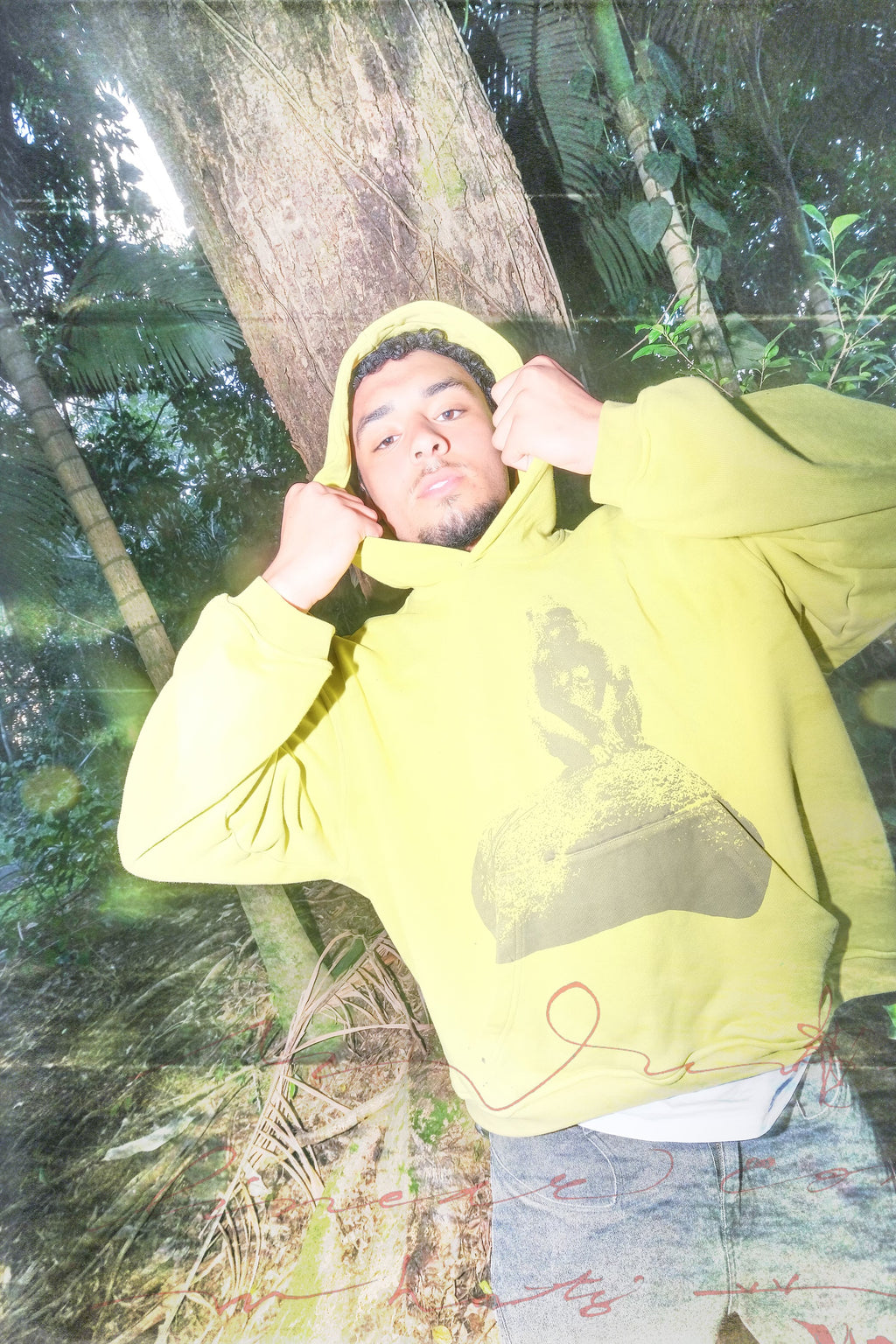 Monk Hood